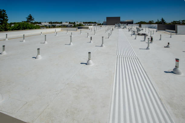 Best Roof Insulation Installation  in Dentsville, SC